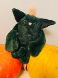 Scaredy - Cat